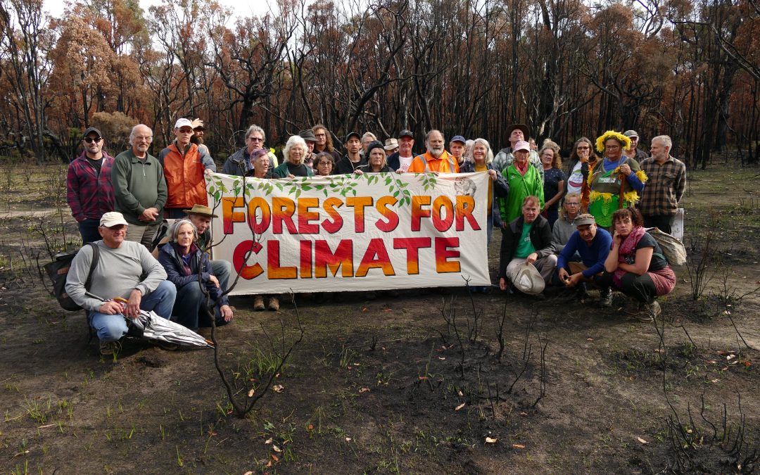South West  Threatened Forests Tour
