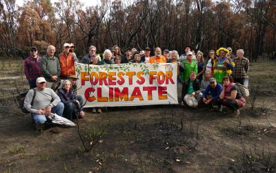 South West  Threatened Forests Tour
