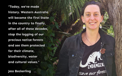 A huge win for WA forests!