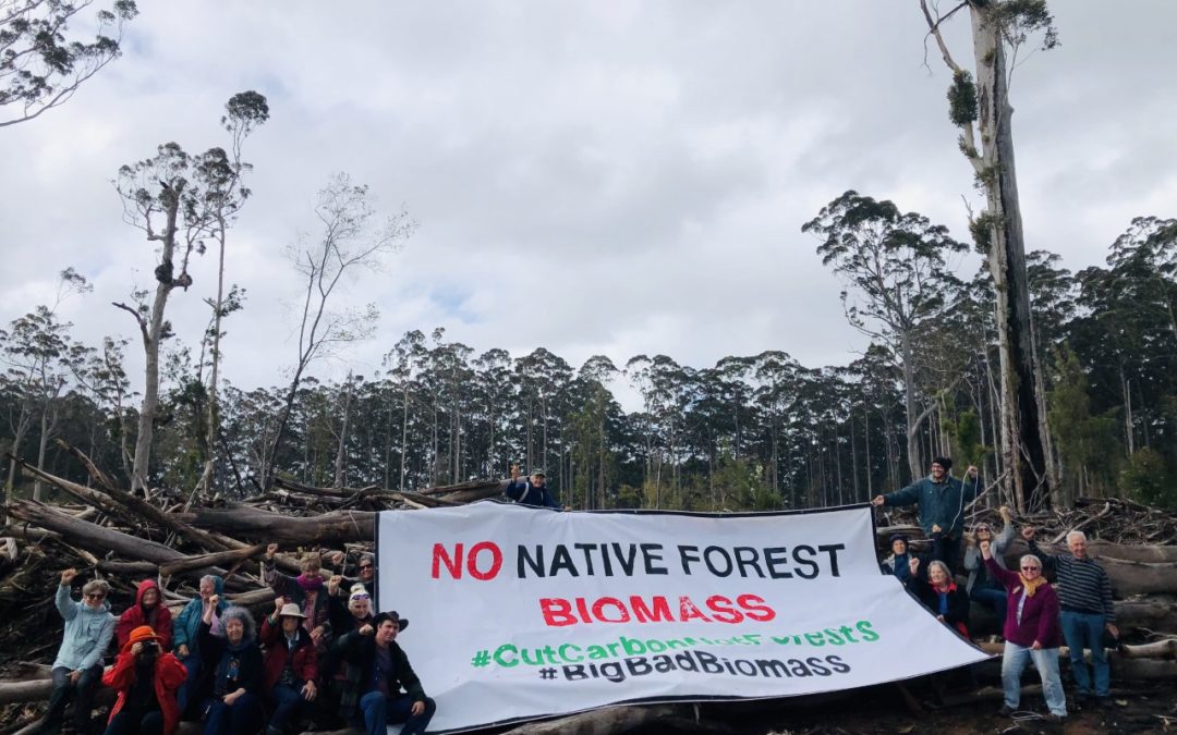 WAFA and The nannas for native forests Joins International Day of Action on Big Biomass