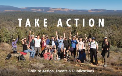 Take Action