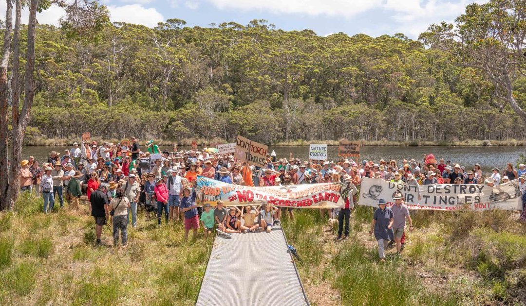 Forest Matters January 2025