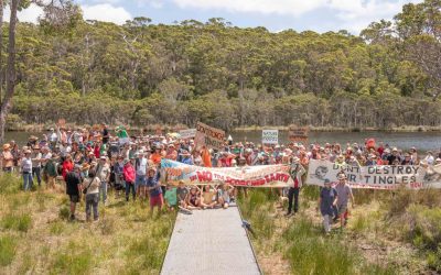 Forest Matters January 2025
