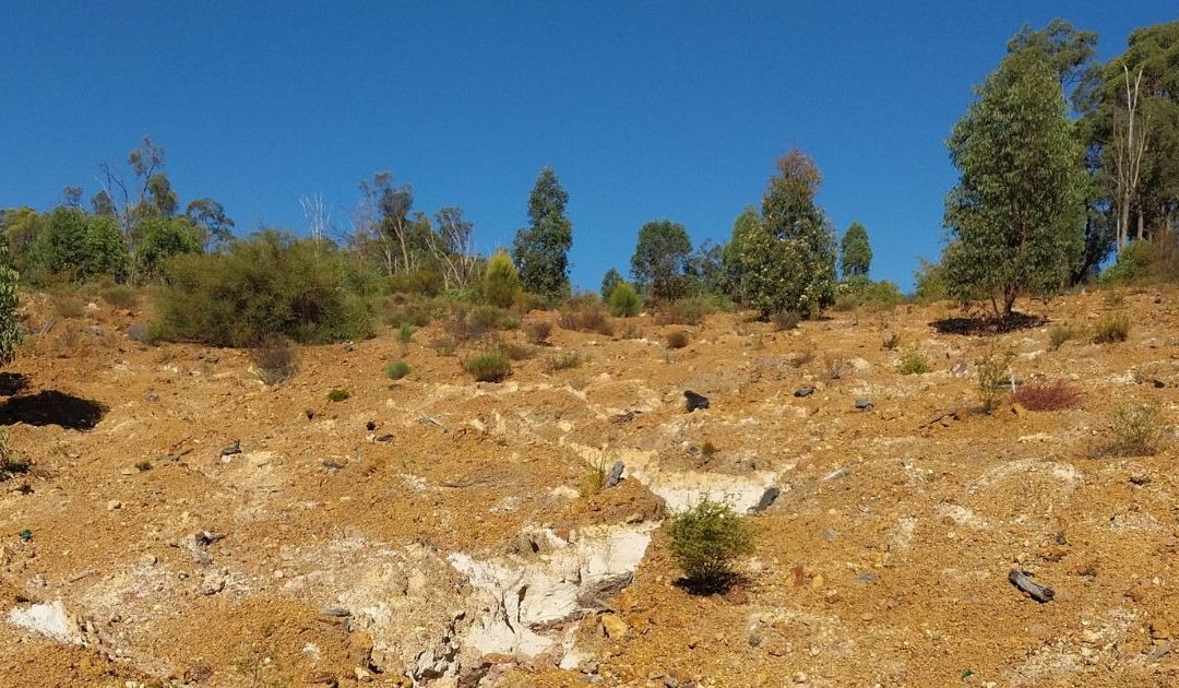 Alcoa Mine Rehabilitation Failure