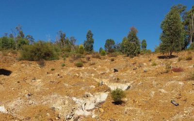 Alcoa Mine Rehabilitation Failure