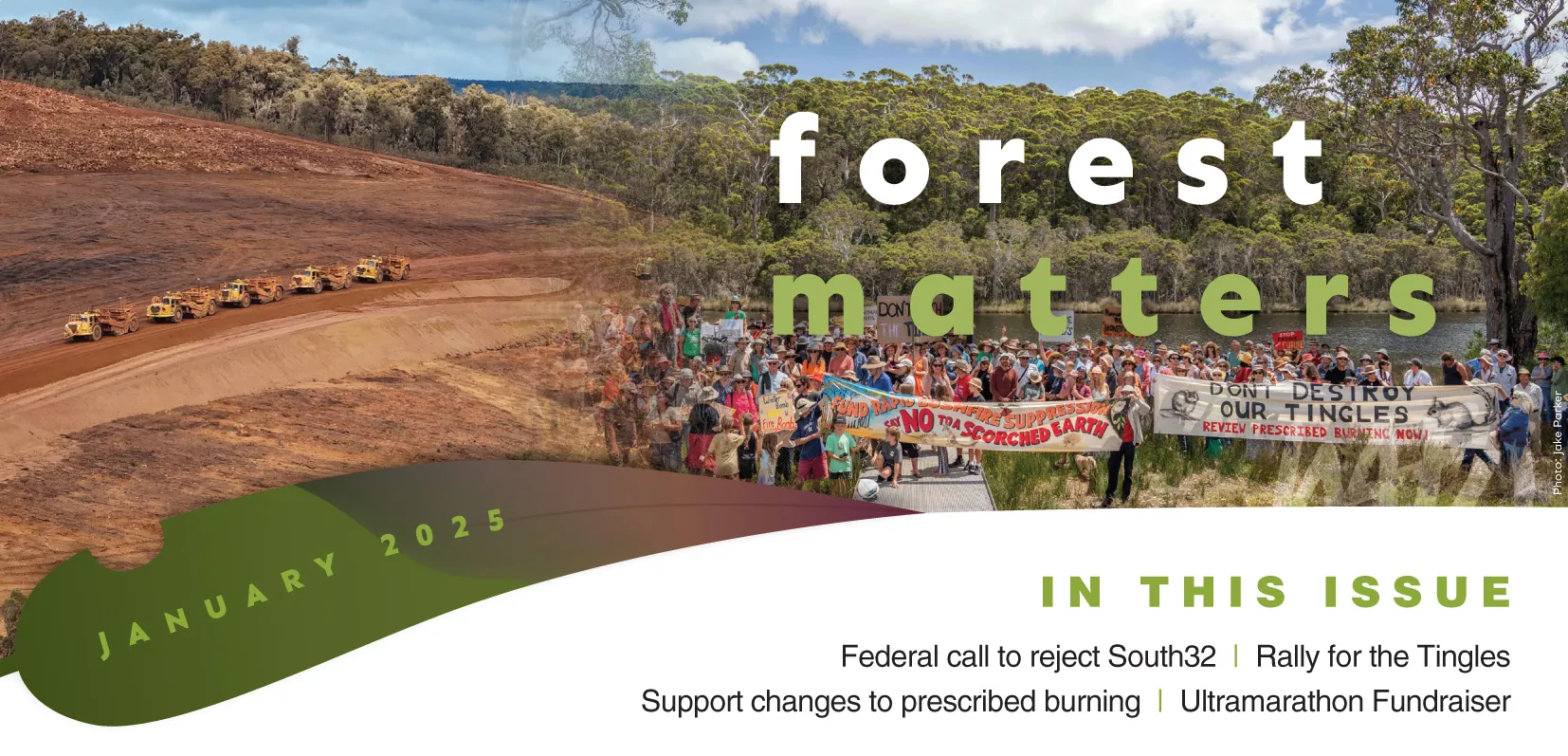Forest matters banner JAN 2025