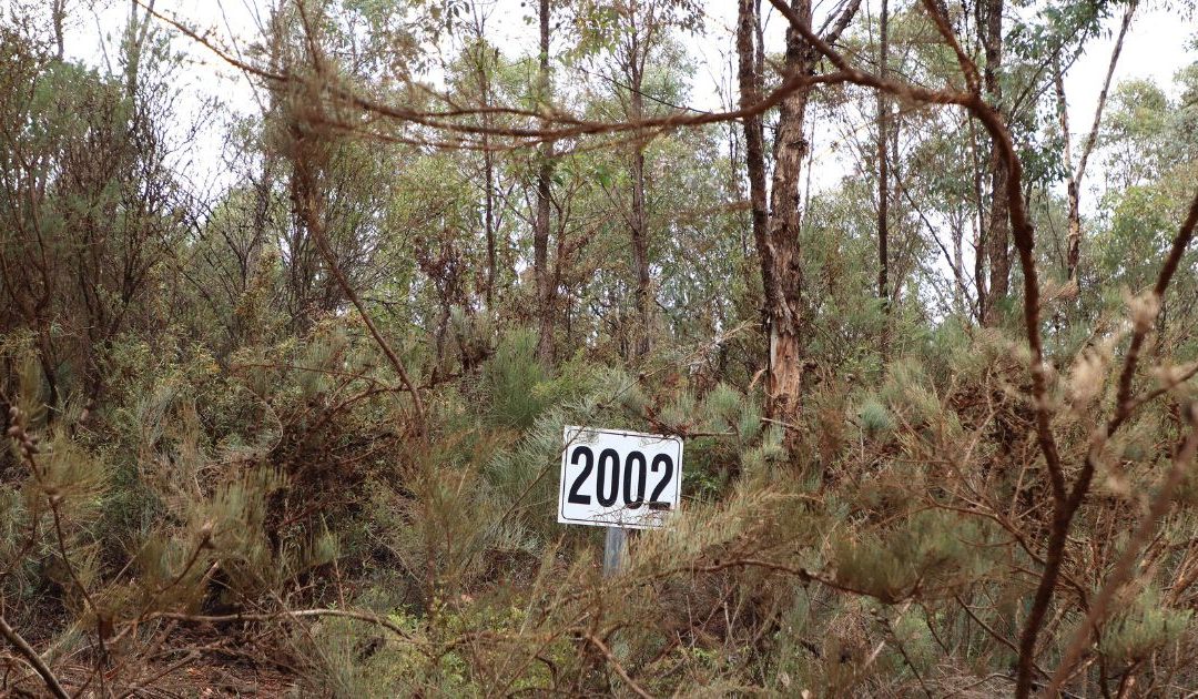 Mine rehabilitation not possible in Jarrah forest