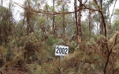 Mine rehabilitation not possible in Jarrah forest
