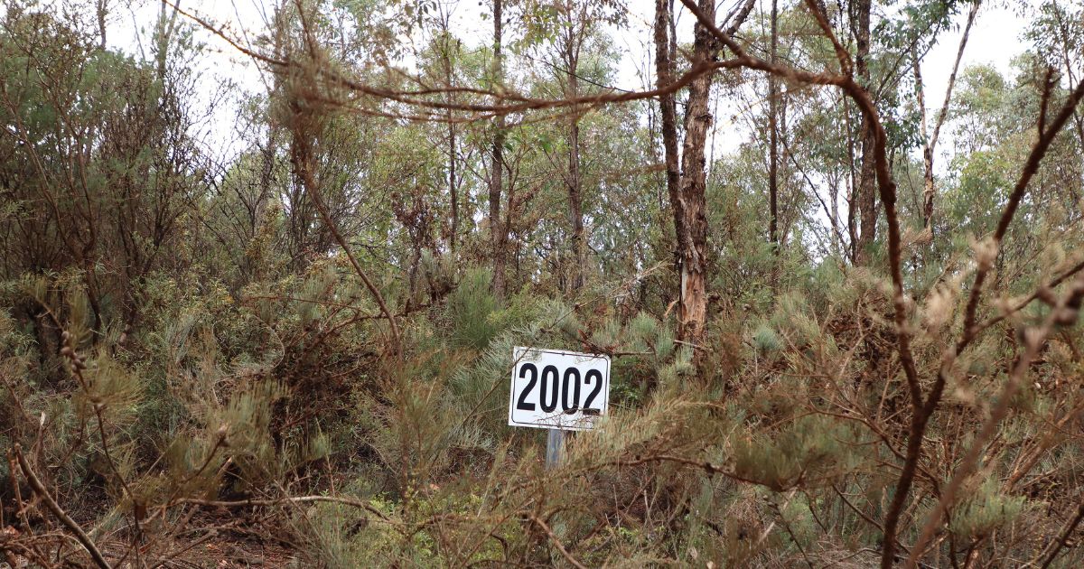 South32 rehabilitation efforts. Photo taken July 2024. South32 rehabilitation efforts. Photo taken July 2024.