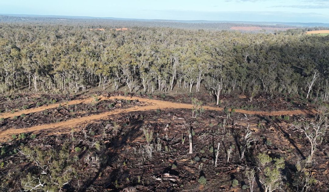 WAFA slams Minister Plibersek for approving “reckless” South32 bauxite mine expansions