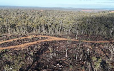 WAFA slams Minister Plibersek for approving “reckless” South32 bauxite mine expansions