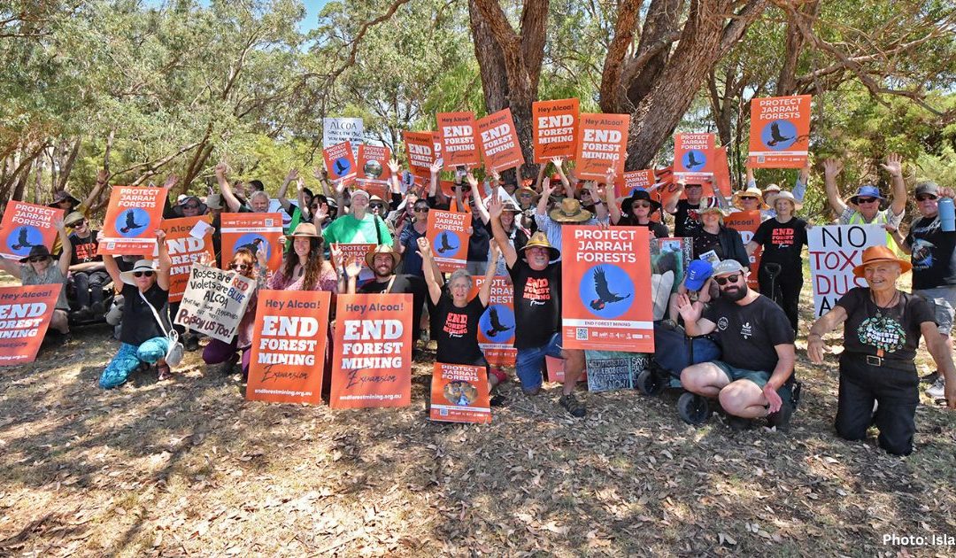 After the election – what’s next for WA forests?