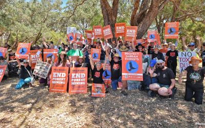 After the election – what’s next for WA forests?