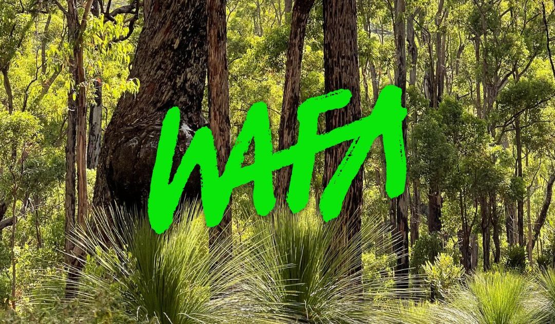 Stand with WAFA against Telupac’s forest mining plans
