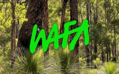 Stand with WAFA against Telupac’s forest mining plans