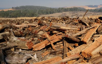 Alcoa reported to Ad Standards Australia for allegedly misleading or deceptive conduct