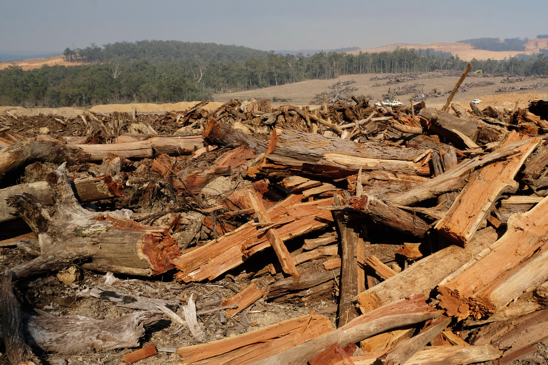 Huntly mine (2) Trees piled up after being bulldozed for Alcoa's bauxite mining