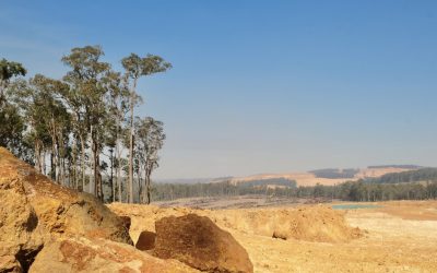 Conservation groups slam Alcoa’s “reckless” bauxite mine expansion plans