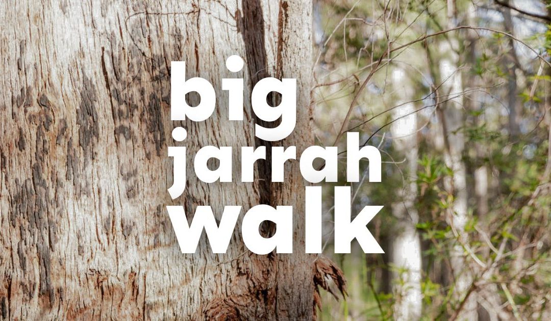 Big Jarrah Walk steps-out to stop mining of WA’s Northern Jarrah Forests