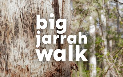 Big Jarrah Walk steps-out to stop mining of WA’s Northern Jarrah Forests