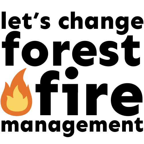 lcffm logo