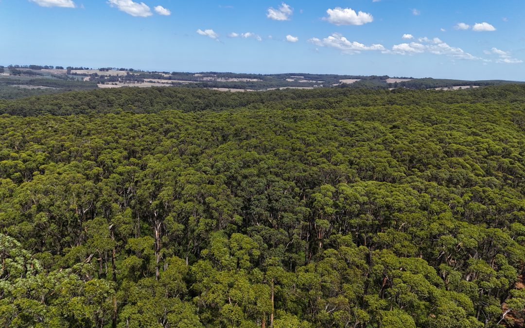WA Government burning money and ecosystems in new budget