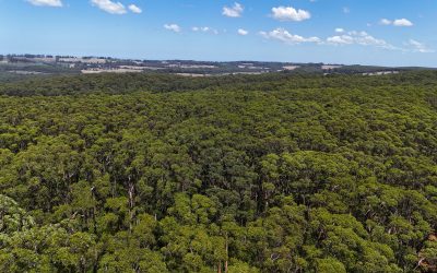 WA Government burning money and ecosystems in new budget