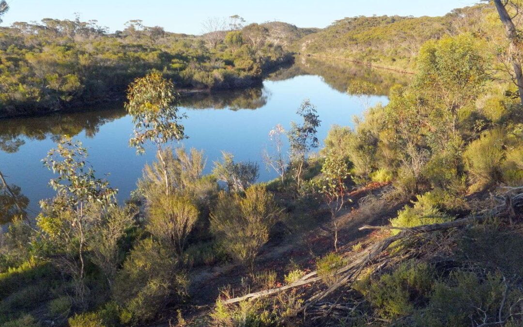 Carnaby nesting site saved from mining destruction