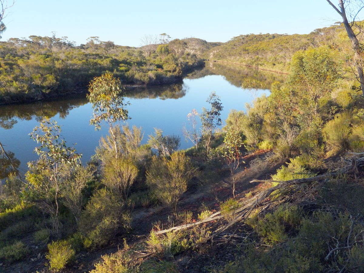 Cocaranup Timber Reserve