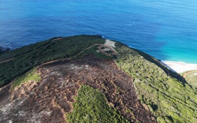 West Cape Howe burn gets the tick of approval