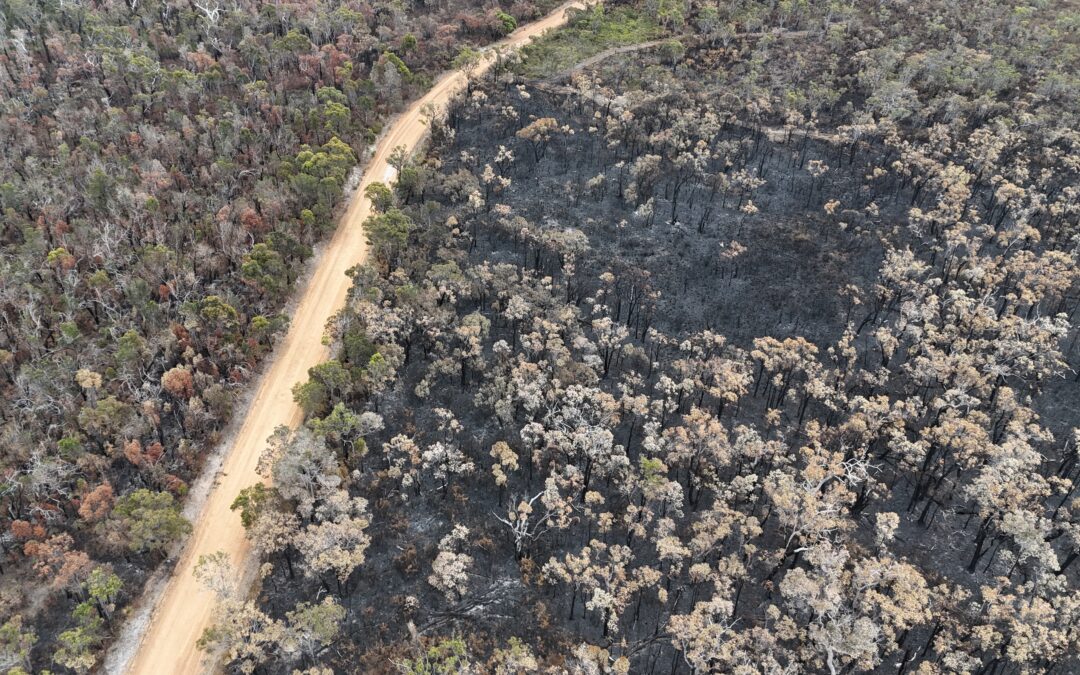 In focus: Large-scale aerial burning