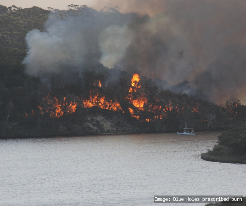 Prescribed burn at Blue Holes near Nornalup Inlet. A boat is on the inlet close to the fire.