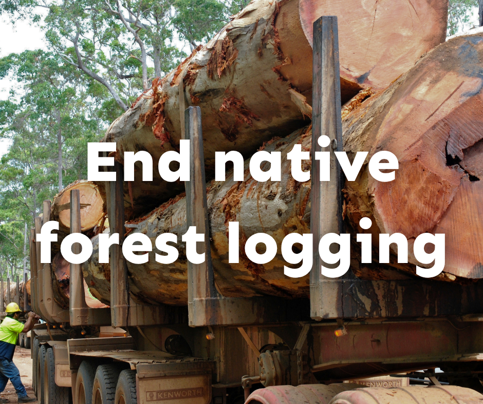 An image of logs on the back of a truck with text that reads End Native Forest logging