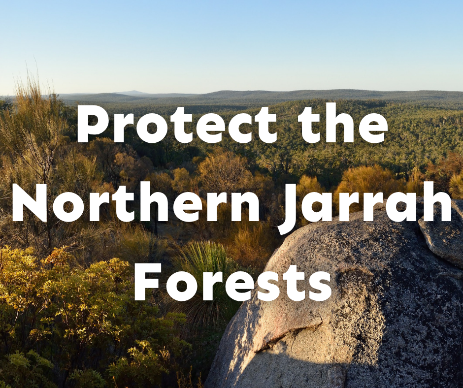 An image of the Northern Jarrah Forest with text overlaid that reads Protect the Northern Jarrah Forests