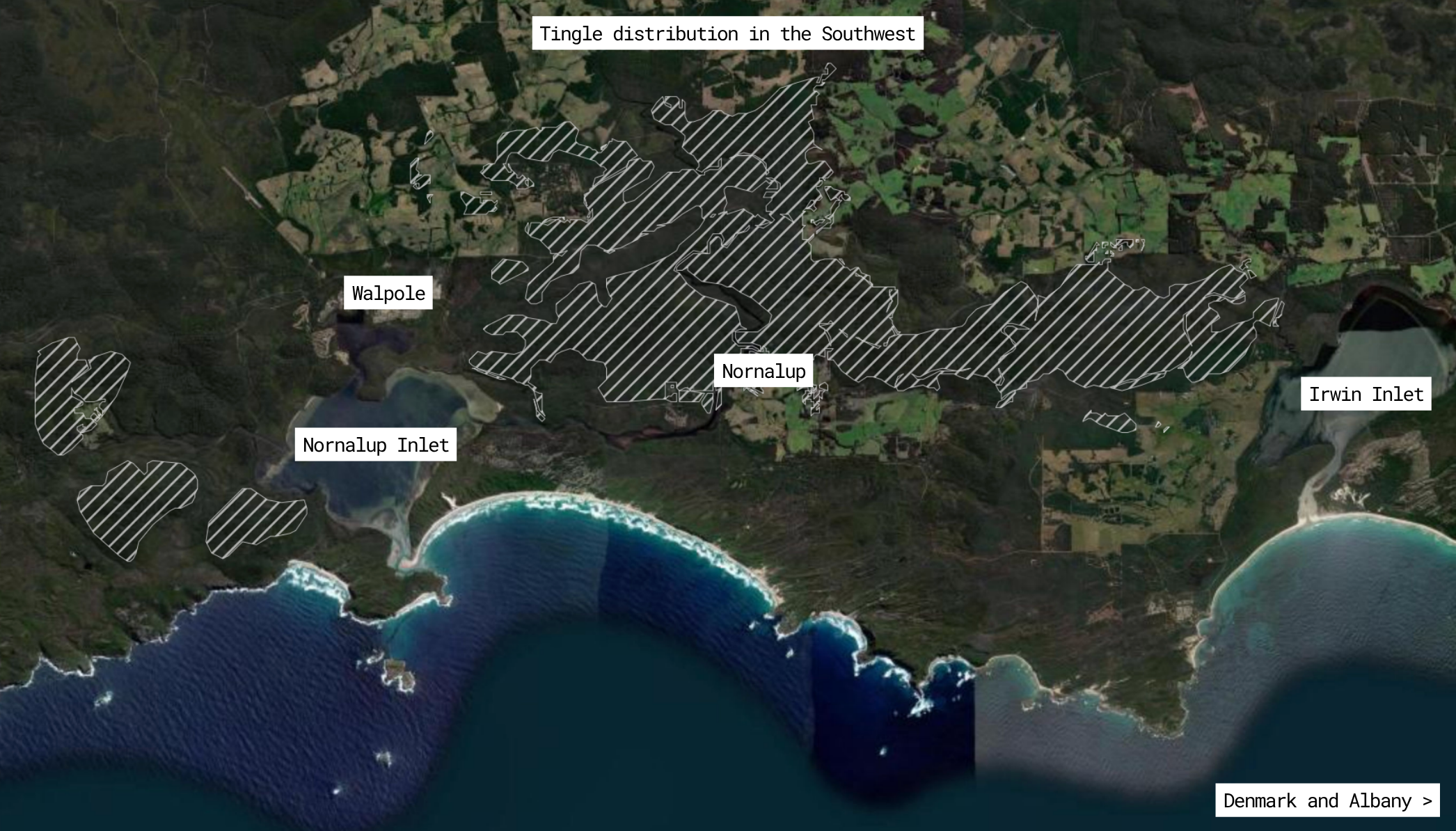 Map of tingle distribution near Walpole