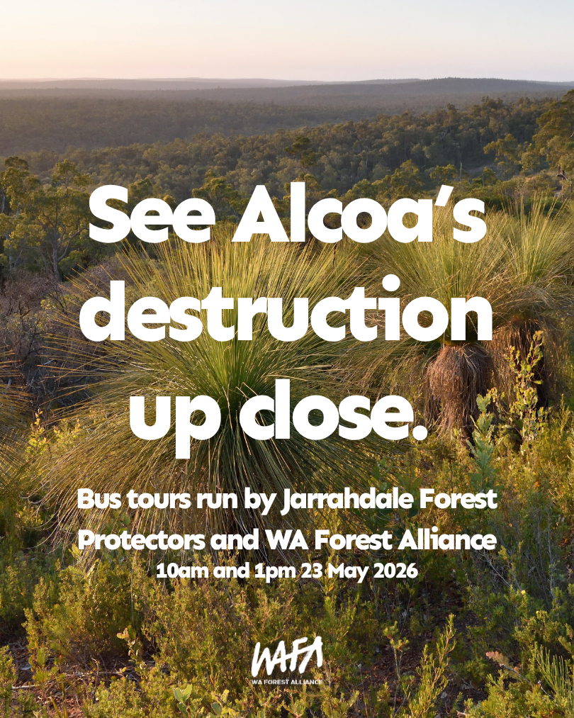 Image of jarrah forest with text that reads: See Alcoa’s destruction up close, Bus tours run by Jarrahdale Forest Protectors and WA Forest Alliance, 10am and 1pm 23 May 2026