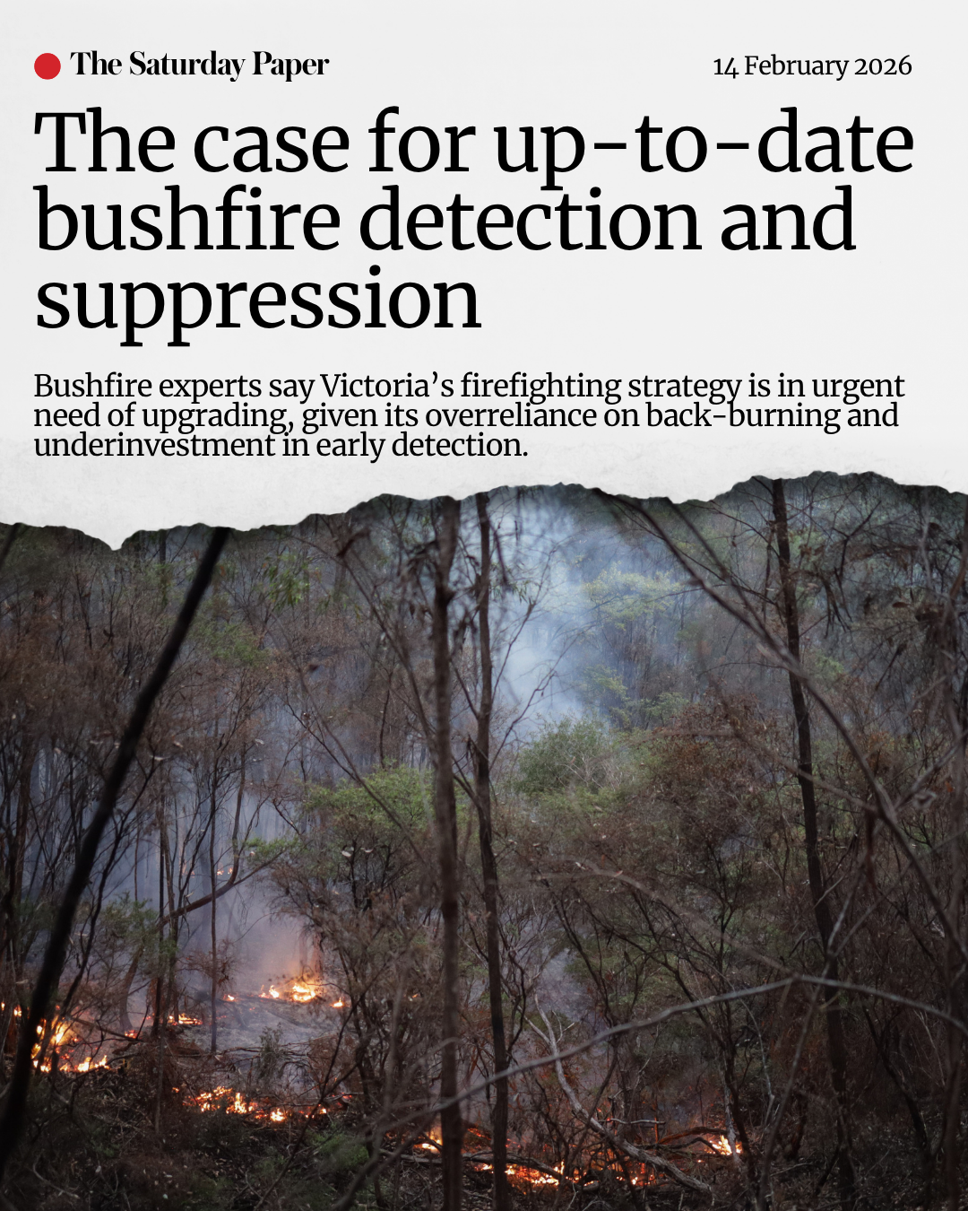 The Saturday Paper Prescribed Burning article News headline tile reading "The case for up-to-date- bushfire detection and supression" with smaller text reading "Bushfire experts say Victoria’s firefighting strategy is in urgent need of upgrading, given its overreliance on back-burning and underinvestment in early detection."