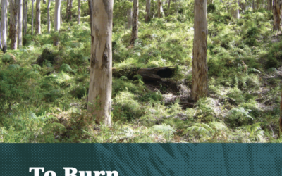 To burn, or not to burn: A critical perspective