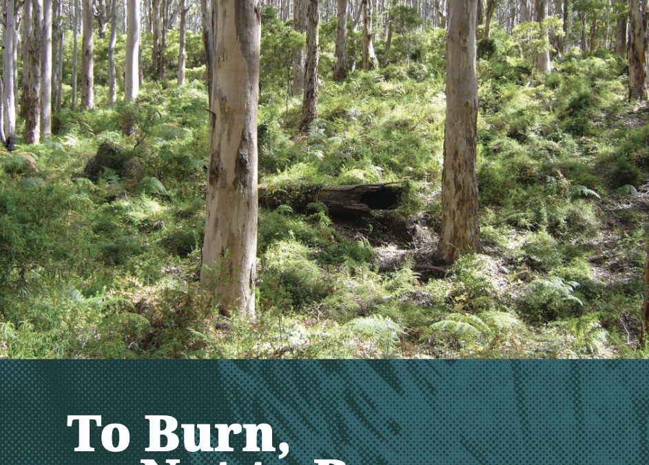 To burn, or not to burn: A critical perspective