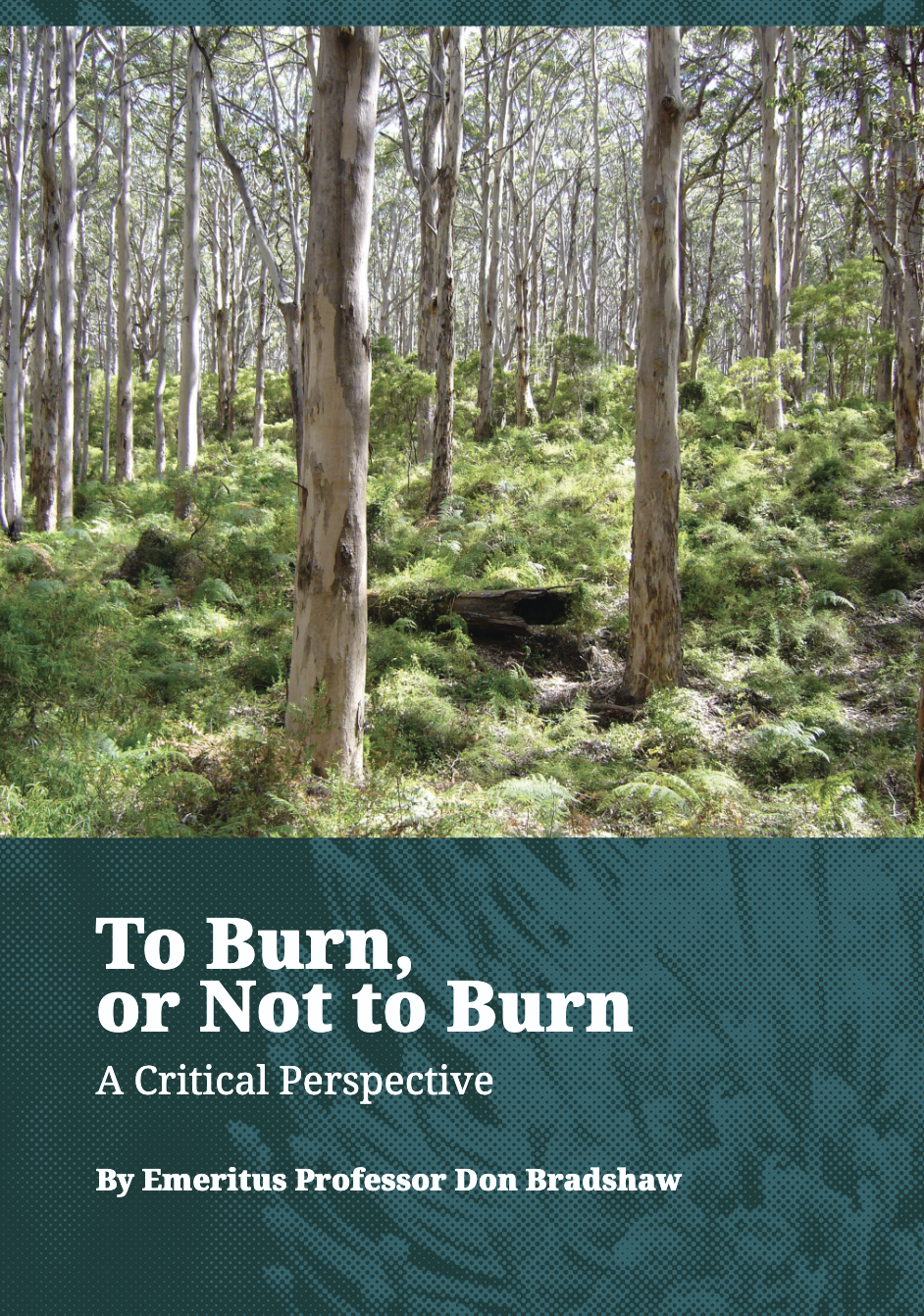 Cover of to burn, or not to burn, a critical perspective. Image shows a forest and the title of the publication.