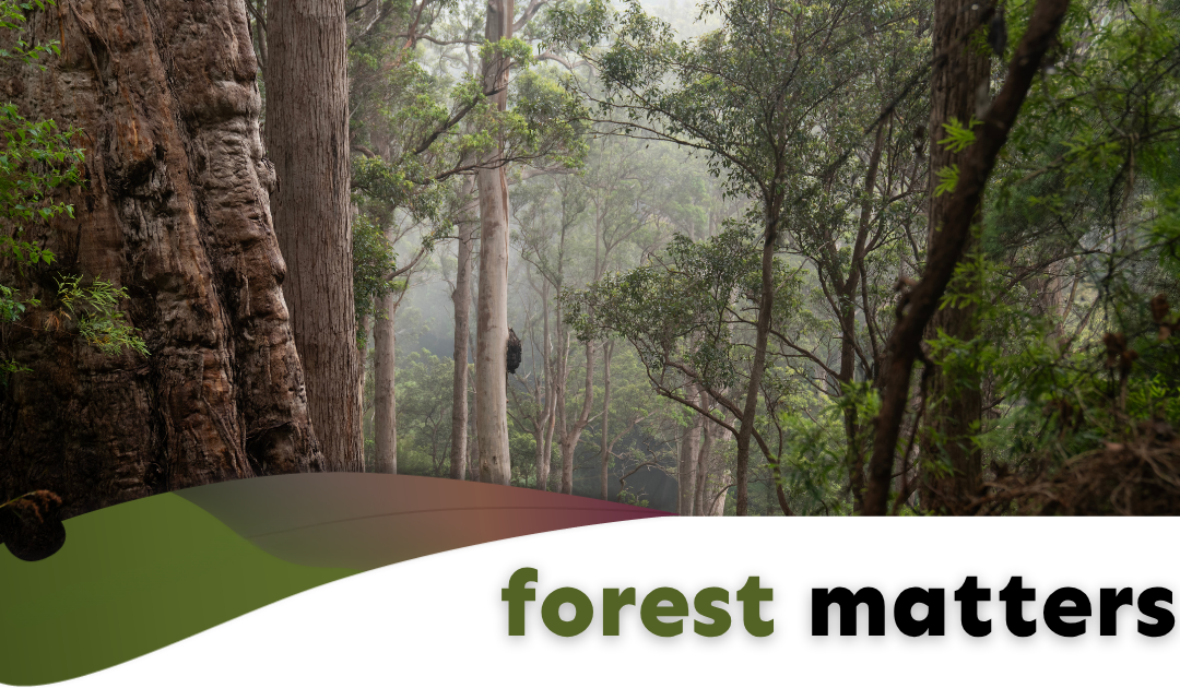 Forest Matters (October 2026)