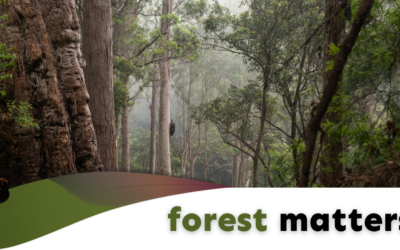 Forest Matters (October 2026)
